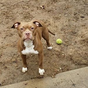 Meet your Posher, Stacia